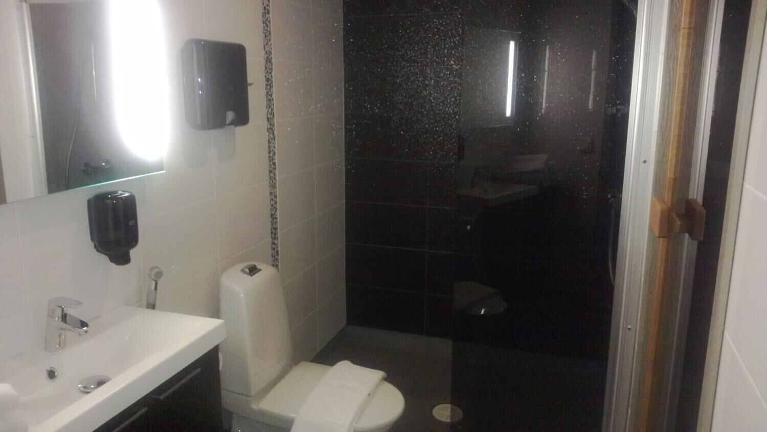 shower, hair dryer, bidet, towels