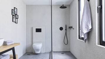 Ducha, secador de pelo, toallas, jabón