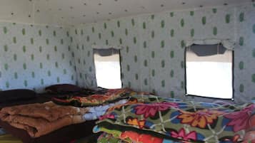 Tent, Multiple Beds