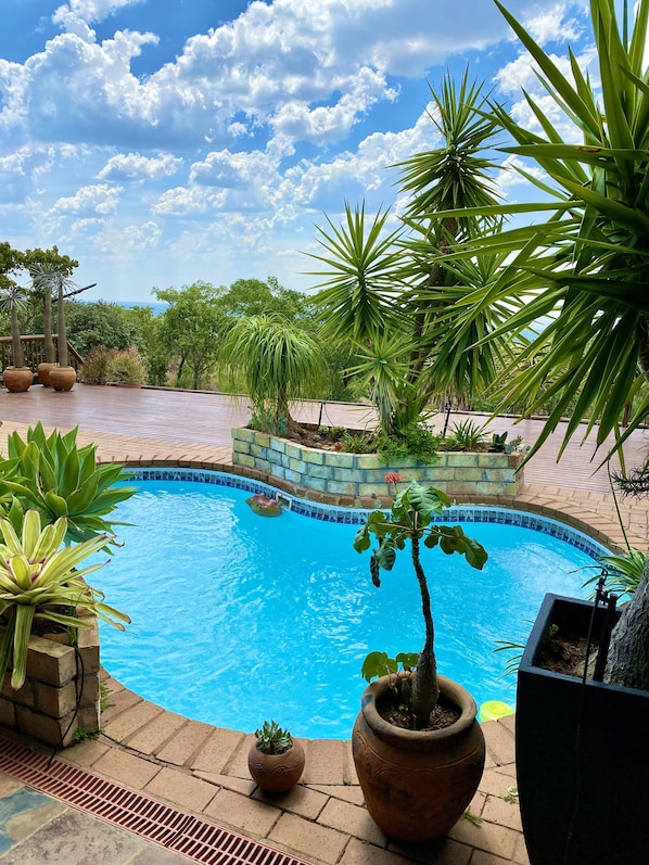 Outdoor pool, pool loungers