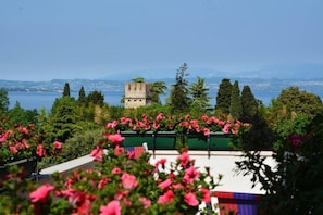 Lake view