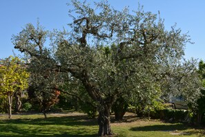 Garden - Parc Hotel Casa Mia (Lazise)