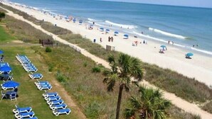A beach with rows of sun loungers and umbrellas, a sandy path, and a palm tree. - HS-1031 Experience ocean views, a spacious 2-BR condo in Myrtle Beach (Myrtle Beach)