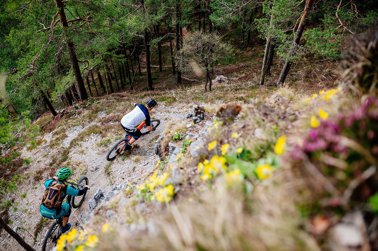En mountainbikeled som går genom en naturskön miljö och ett skogsområde.