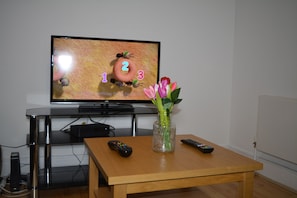 Television