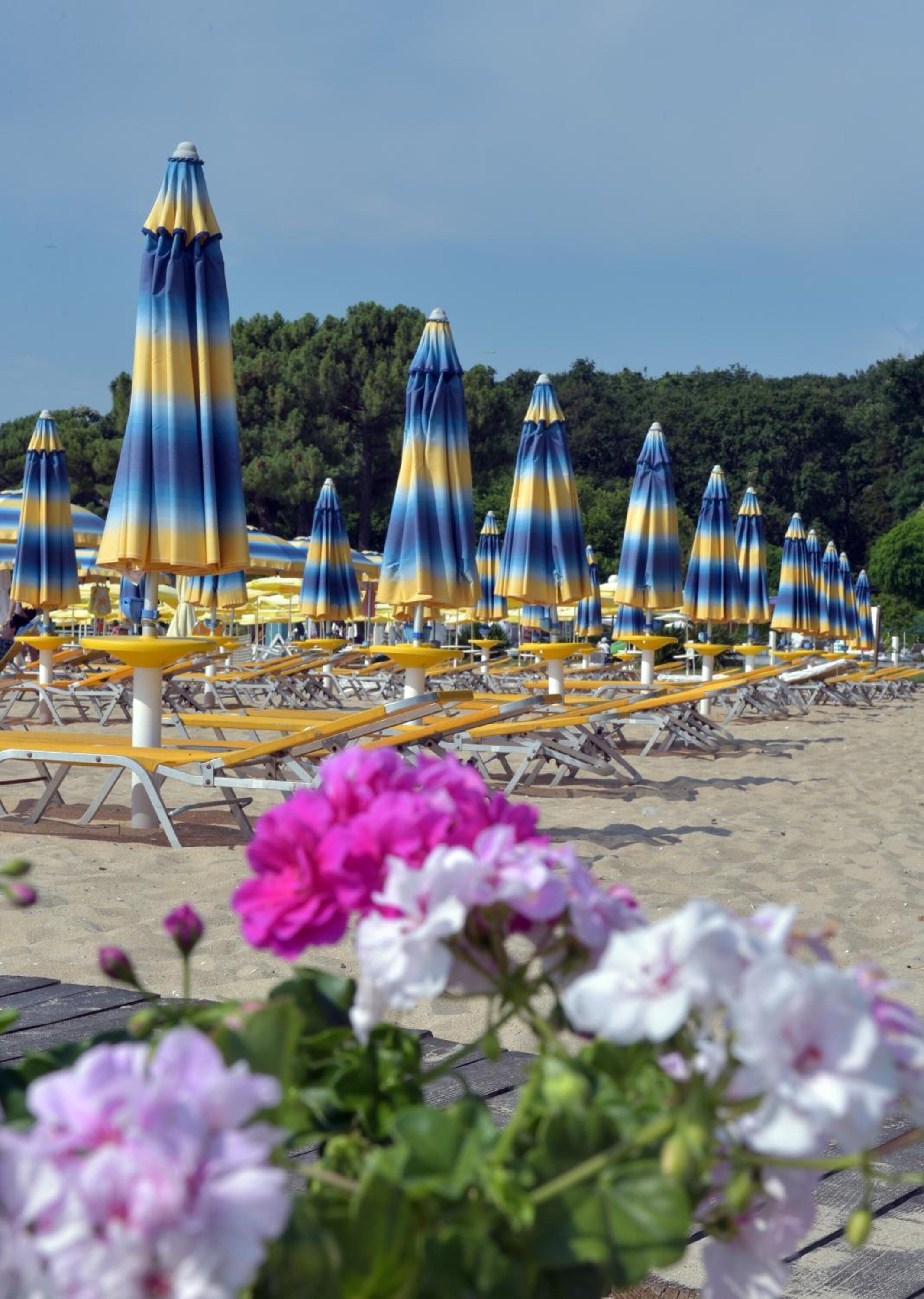 Photo - HVD Boutique Hotel Oasis - Private Beach & Free Parking