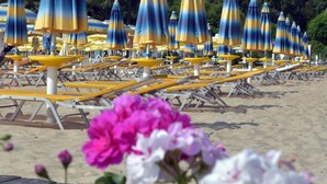 Een strand met rijen blauwe en gele strandparasols en ligbedden.