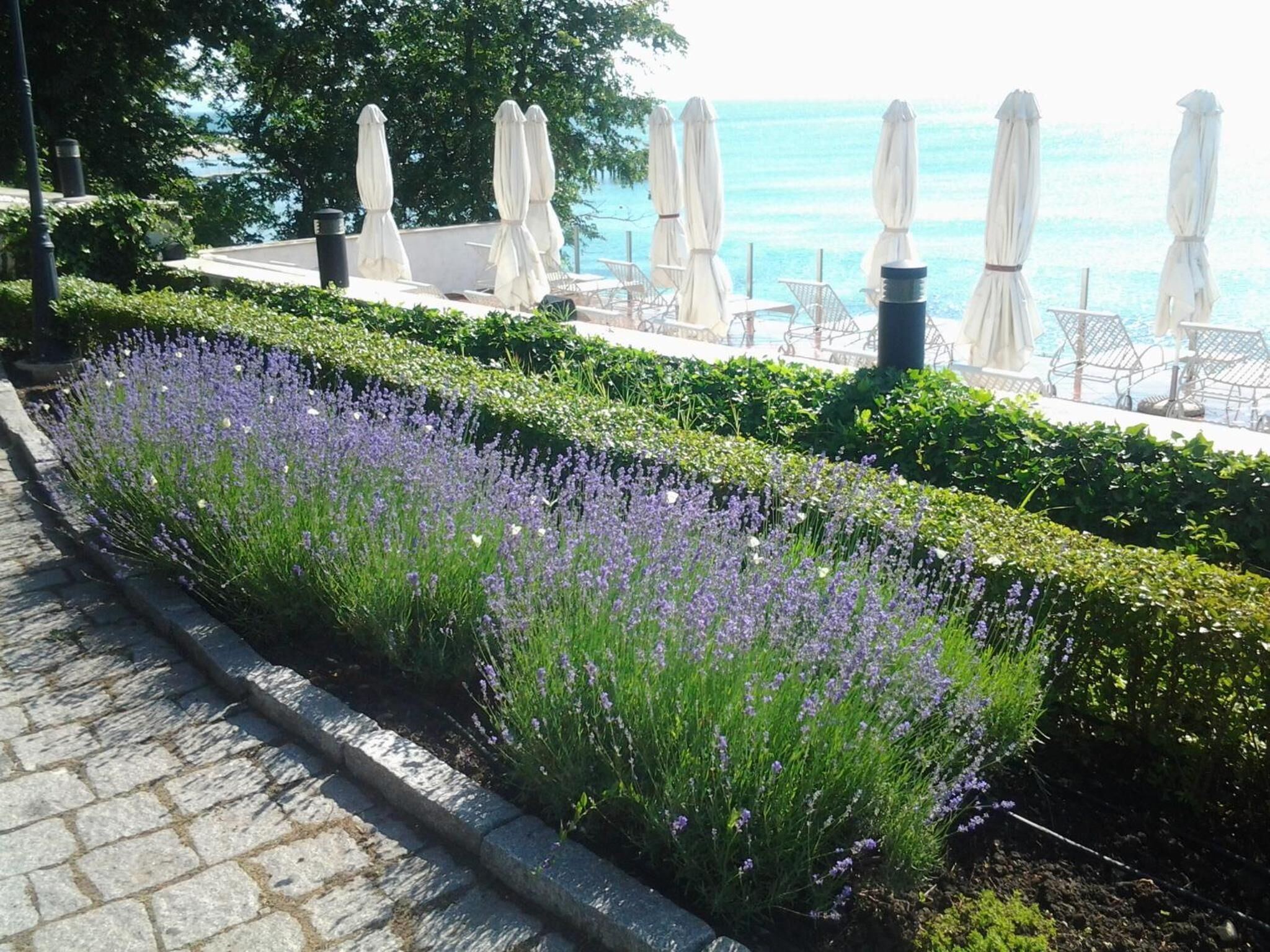 Photo - HVD Boutique Hotel Oasis - Private Beach & Free Parking