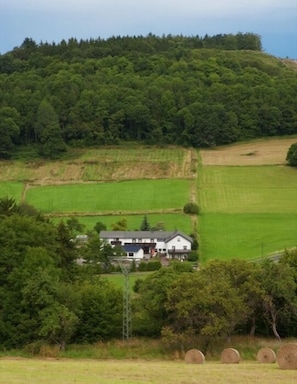 Paisaje rural con una casa rodeada de campos verdes y una colina boscosa.