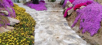 Botanic Golf SaCuba & Resort