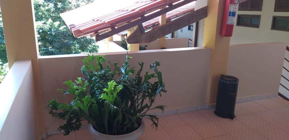 Une plante en pot sur un balcon dont le sol est recouvert de carreaux, et un extincteur fixé au mur.