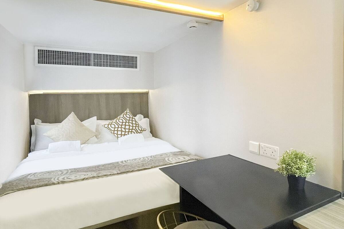 A compact hotel room with a bed, bedside table, and a small potted plant.
