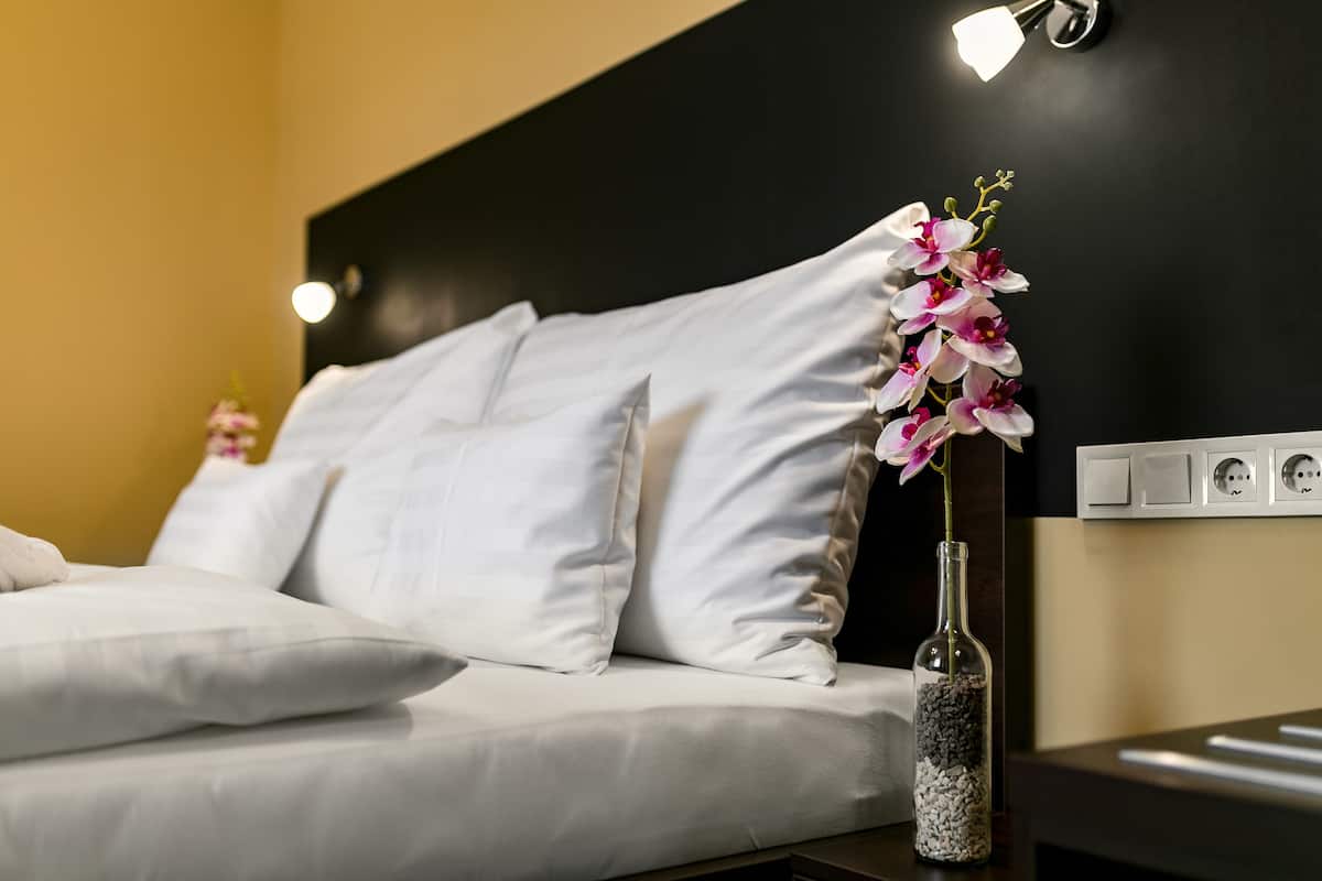 Habitación básica, 1 cama King size, vista al valle | Vista desde la habitación