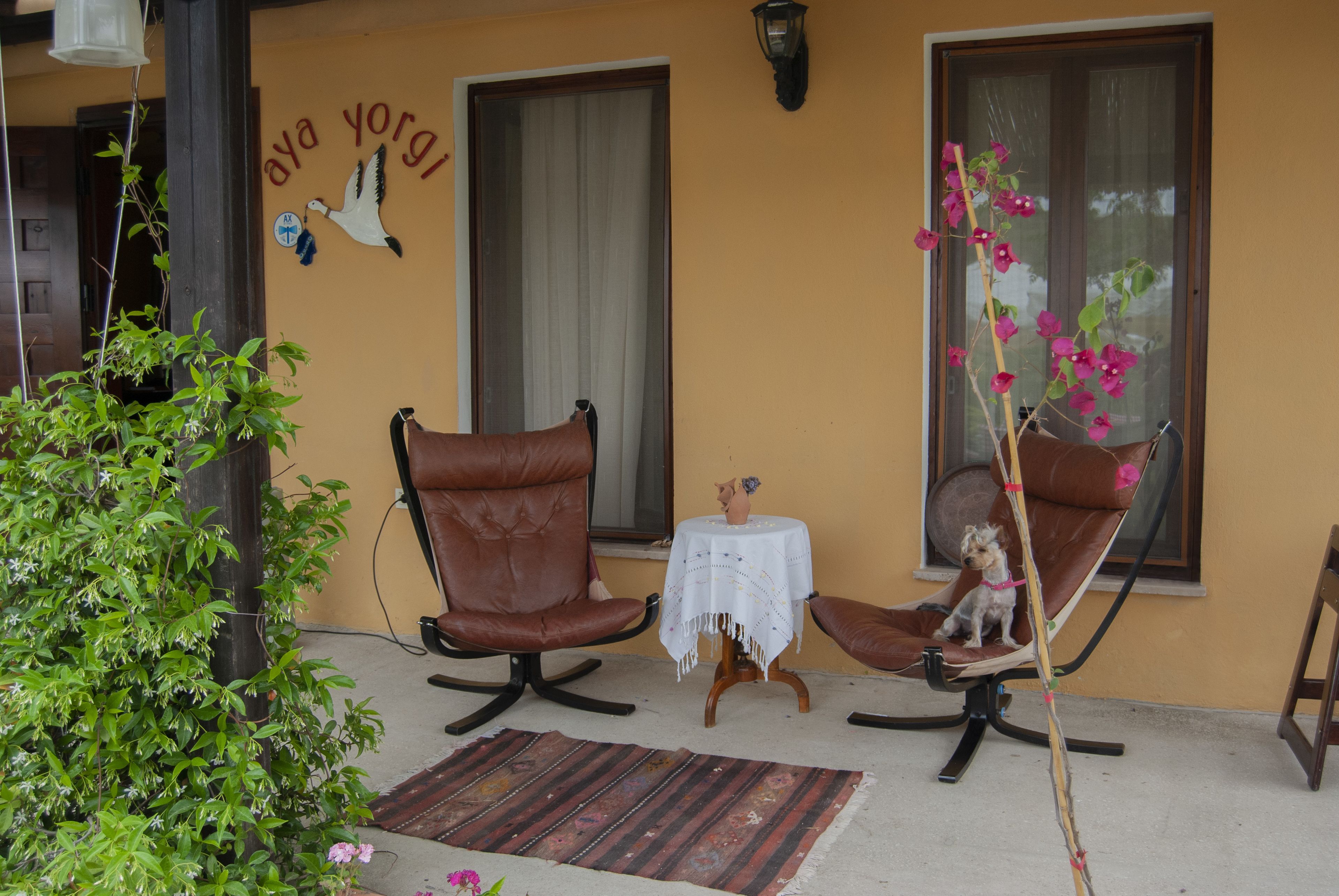 A small outdoor seating area with two brown leather chairs, a small table with a white cloth, and a potted plant.