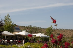 Property grounds - Aya Yorgi Evleri (Bozcaada)