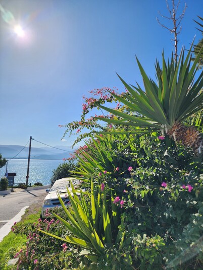 New Panorama Apartments (ELECTRIC CAR CHARGING STATION)