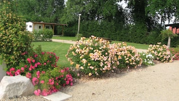 Giardino
