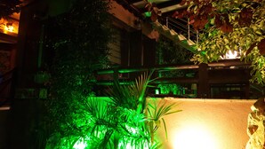 An indoor garden area with green plants and a stone wall.