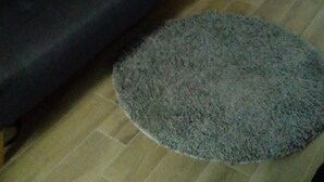 Een woonkamer met een donkere bank, een rond tapijt en een houten deur op de achtergrond.