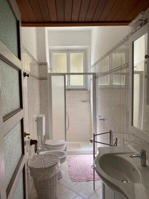 Shower, bidet, towels, soap