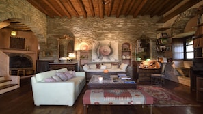Televisión, chimenea, reproductor de DVD y libros