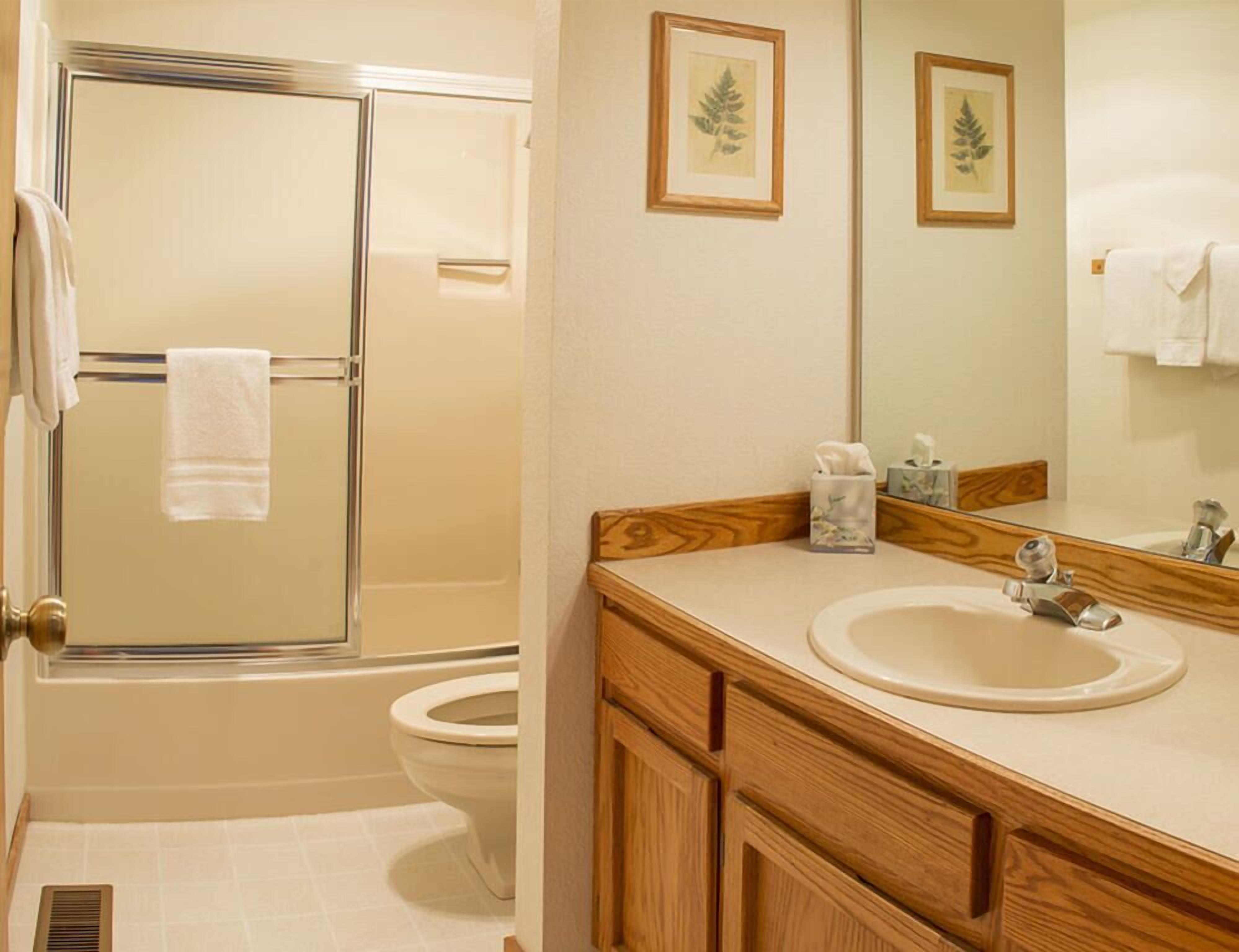 A bathroom with a shower, toilet, sink, and mirror.