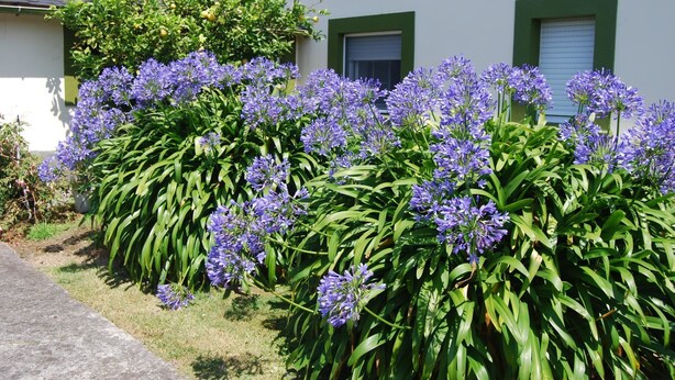 Detalle del exterior