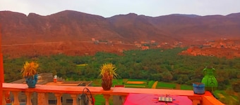 Auberge Ali