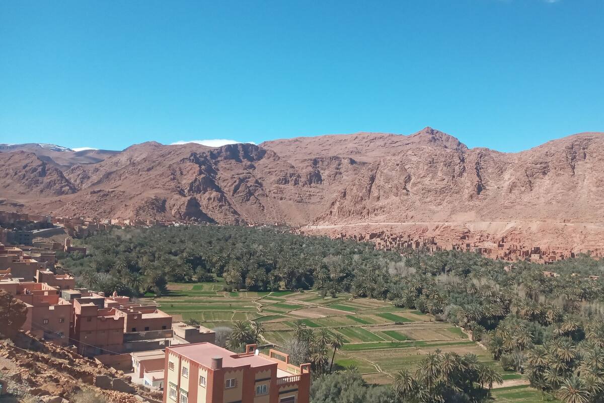 إطلالة على الحديقة