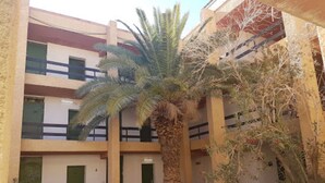 A courtyard with a palm tree, a pathway, and a building with multiple doors and windows. - Hotel Antar Bechar (Bechar)