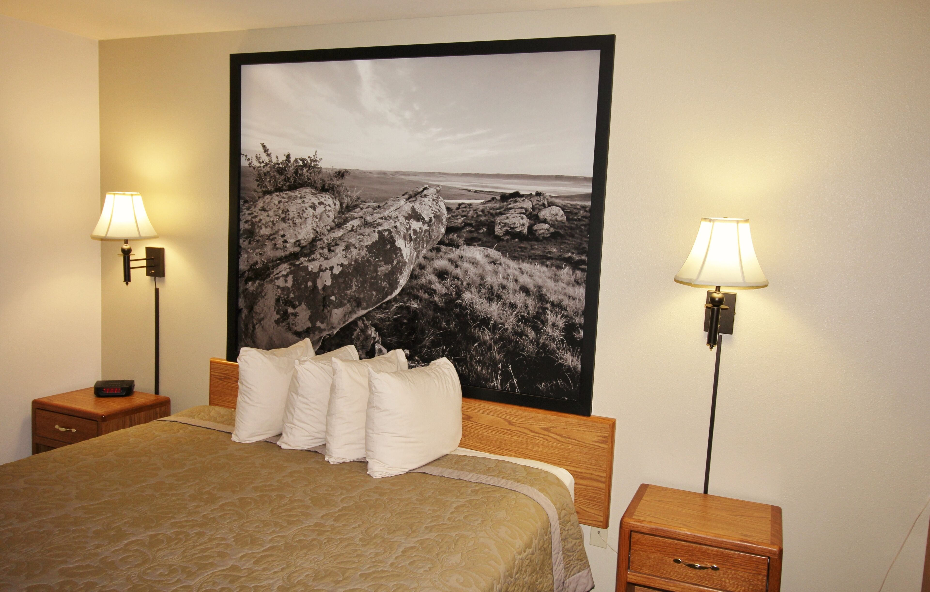 A hotel room with a large bed, two bedside tables, a nightstand, and a large framed picture on the wall.