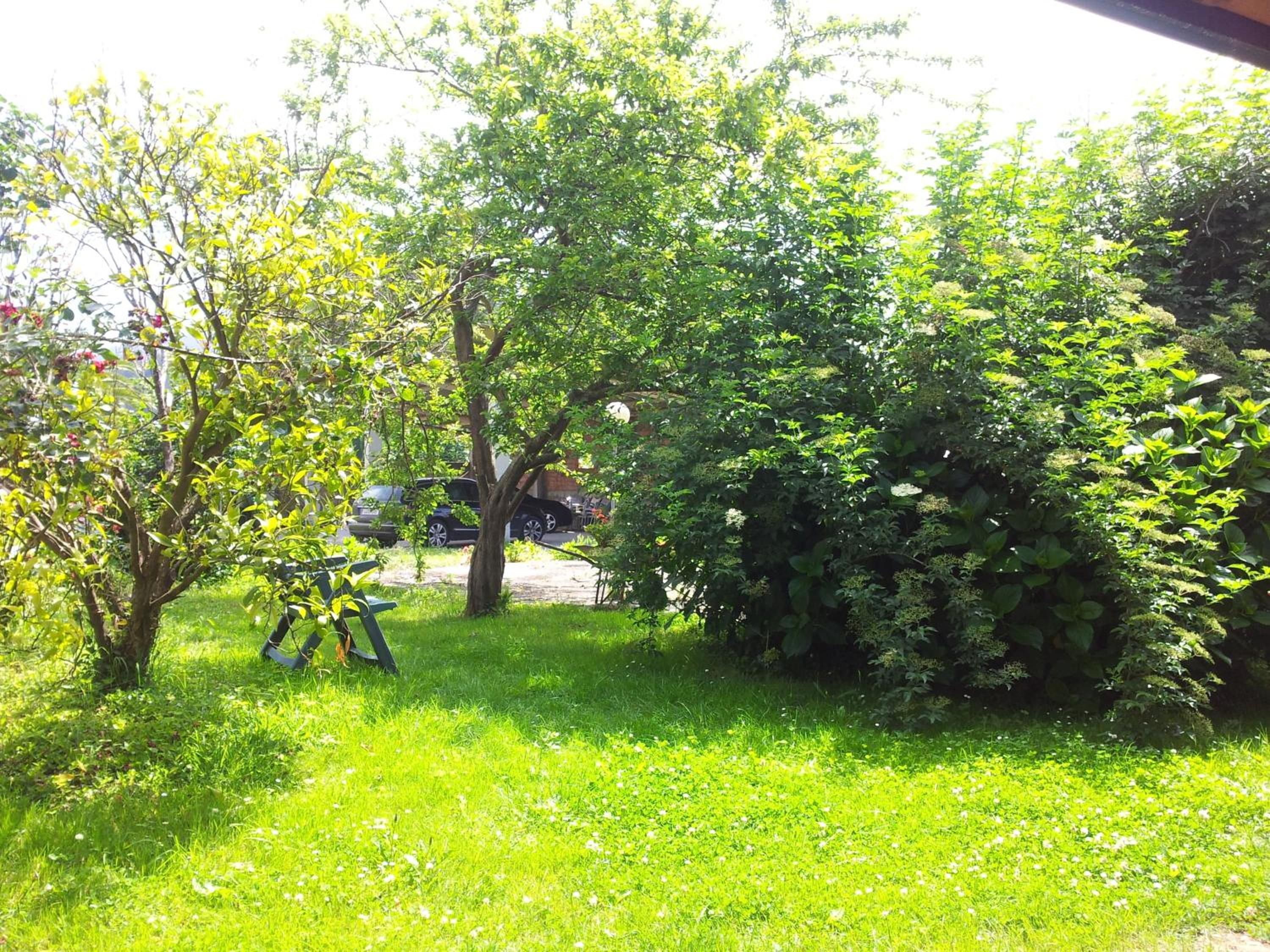 A grassy area with trees and a bench.