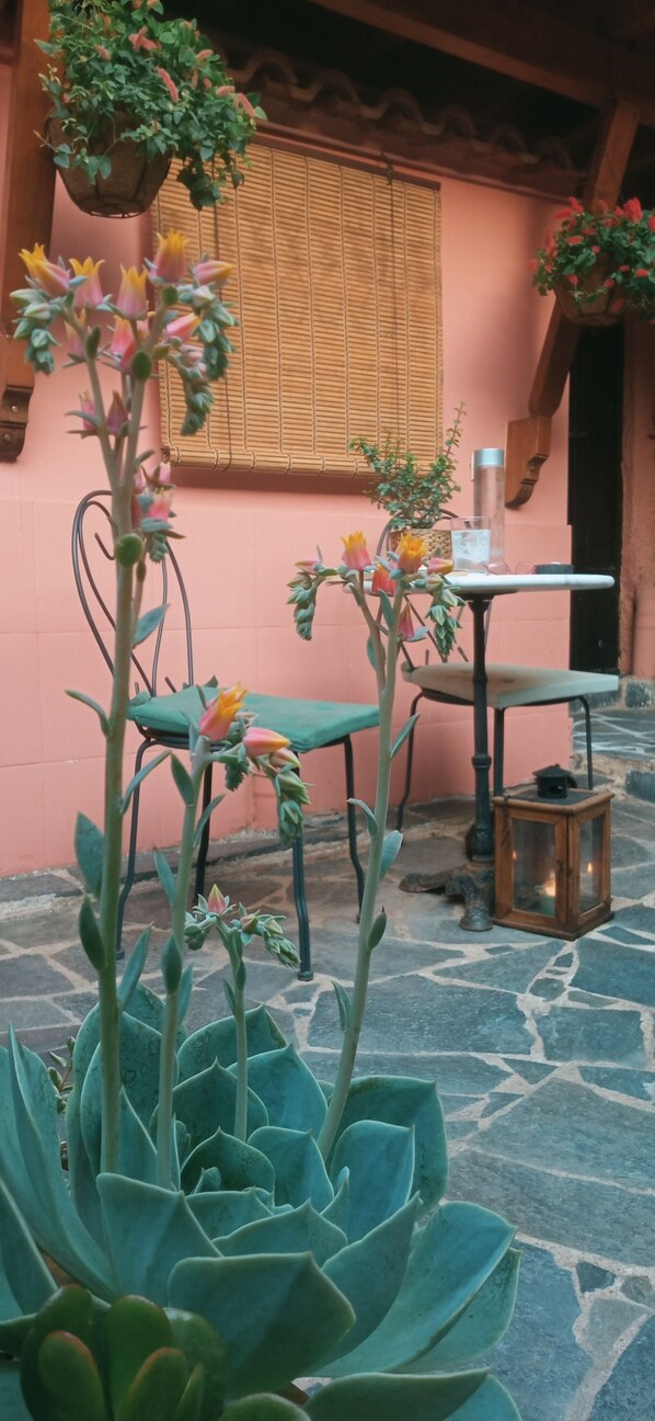 Terrain de l’hébergement