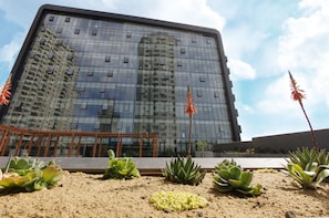 A modern building with a reflective glass facade, surrounded by a garden with various succulents and decorative plants.