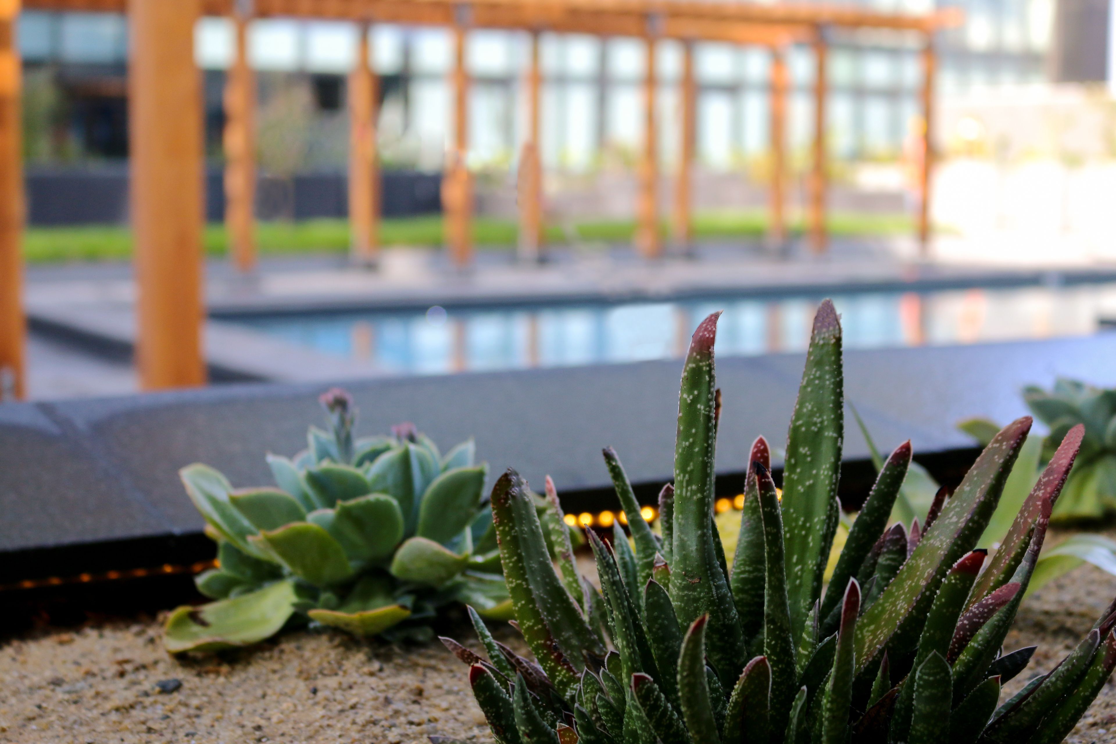 Photo - Quartz Hotel & SPA