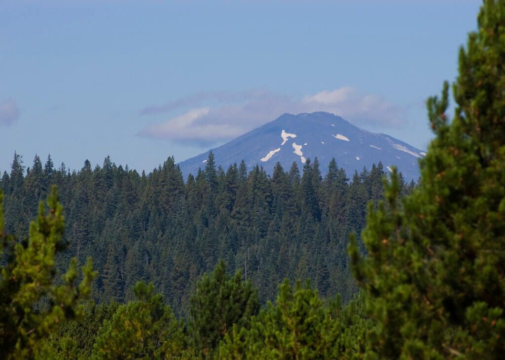 A mountain with snow patches and a dense forest in the foreground.