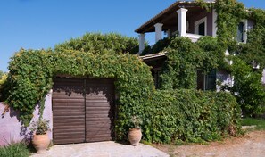 Detalle exterior