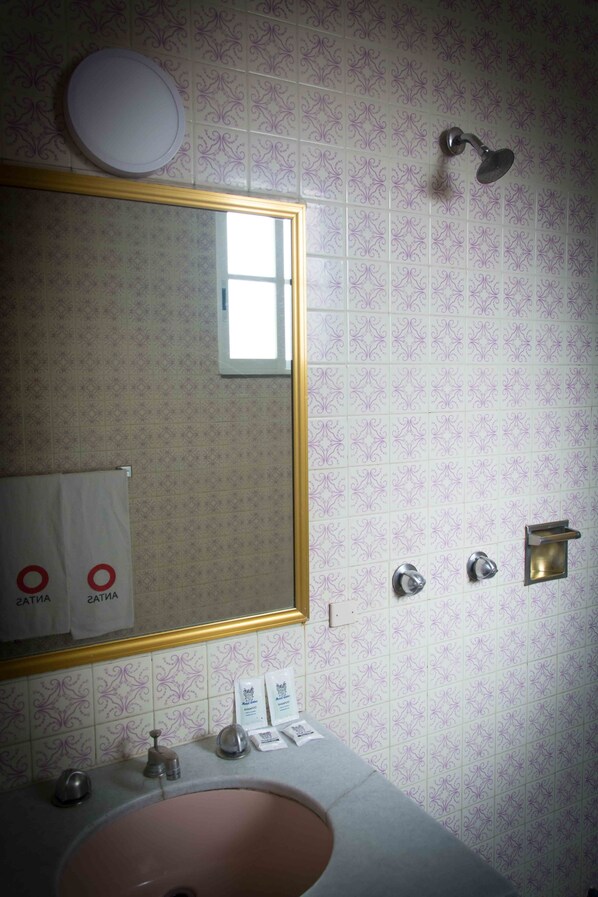 A bathroom with a sink, mirror, and shower. - Hotel Antas (Mexico City)