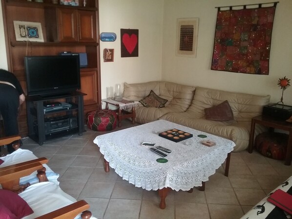 TV, fireplace, DVD player, books