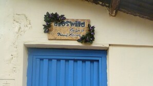 Una puerta azul con un letrero encima que dice 'Bios Wild Go for it Travel Agency'.