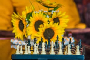 A chessboard with pieces in front of a vase of sunflowers. - BiosWild (Cusco)