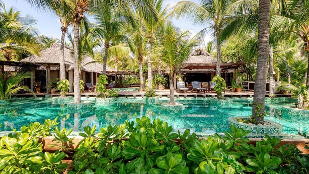 A pool area with palm trees, lounge chairs, and thatched-roof structures. - Unique beach house, luxury experience (Puerto Escondido)