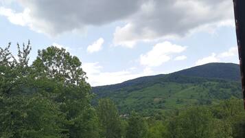 Economy Apartment, Garden View | Balcony view
