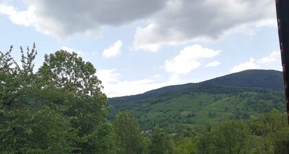 Guesthouse Blazenka Hodak