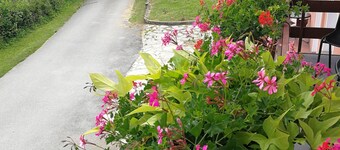 Guesthouse Blazenka Hodak