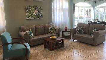 Televisión de pantalla plana, Netflix