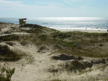 Exterior. Cabañas Marcelo