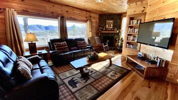 TV, fireplace, video games, books