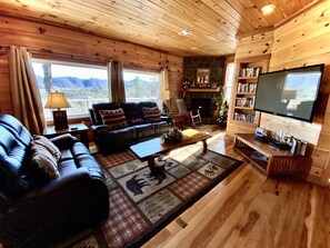 TV, fireplace, video games, books