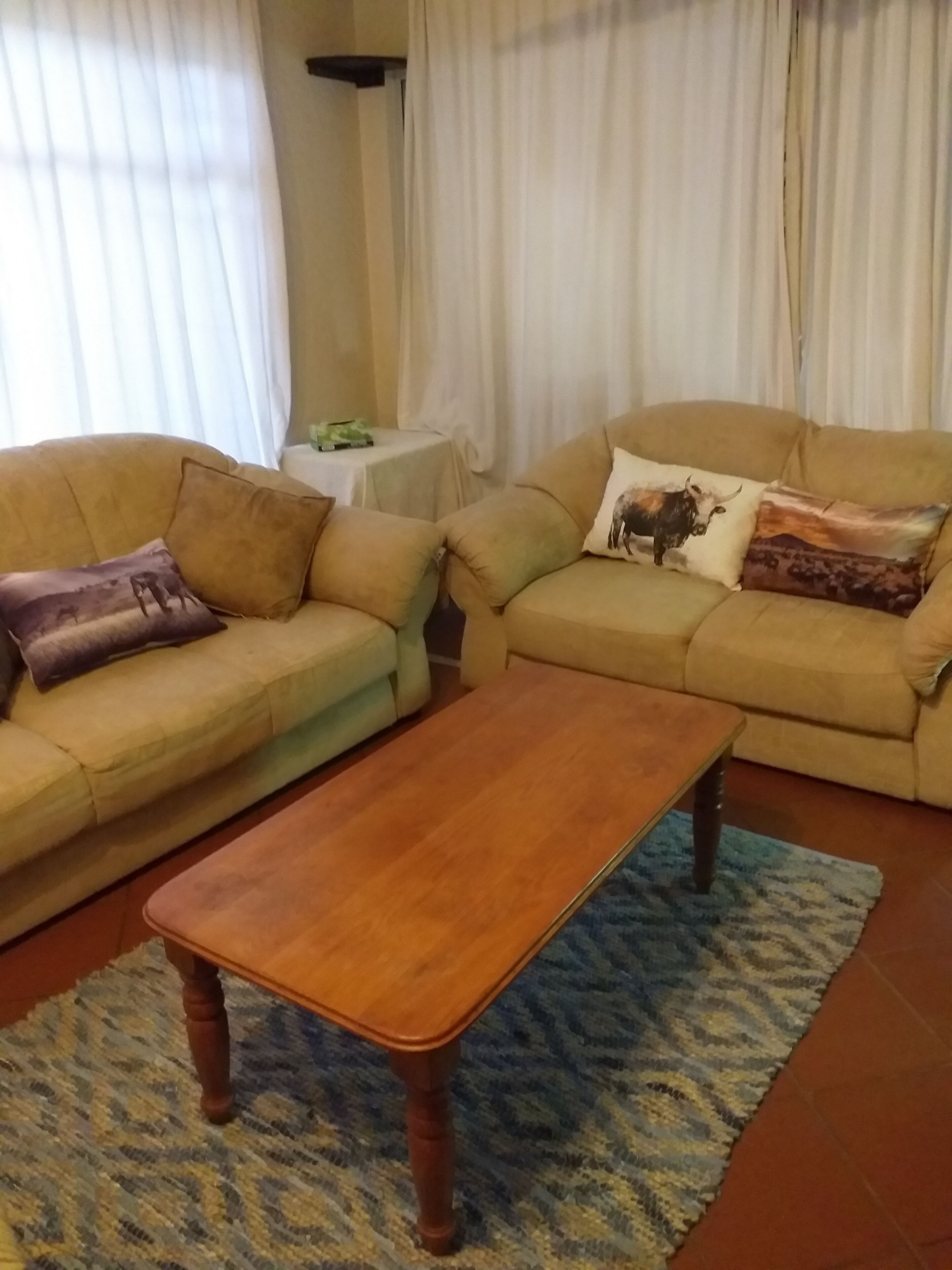 TV, fireplace, Netflix, books